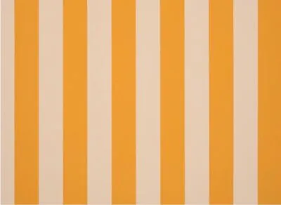 orange stripes