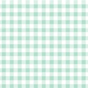 Mint Gingham